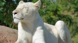 Моя коллекция Львов.