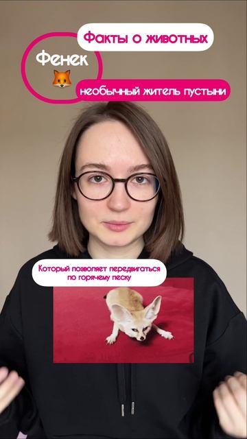 Встречайте - Фенек, мистер популярность😎Подписывайтесь на факты о животных^^