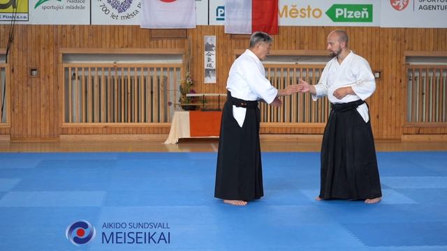 19.Aikido Power Differential To Handling The Unexpected Shishiya Sensei Pilse