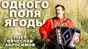 БОЖЕ! КАКАЯ КРАСИВАЯ ПЕСНЯ. 🍓Одного поля ягоды