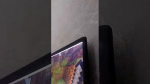 играю в маенкравт