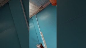 мини Стримчик 😅