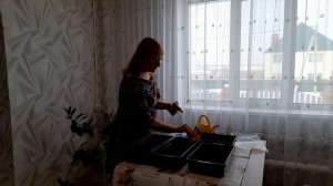 Сажаем перцы на рассаду