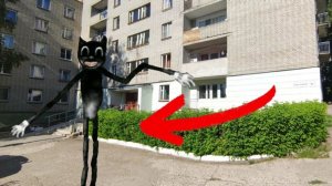 За мной охотится Cartoon Cat.