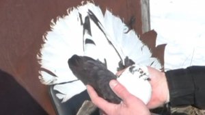 Тот случай ...