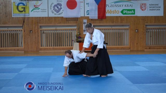 3.Aikido Ai Hanmi Ikkyo Omote Shishiya Sensei Pilsen 2023