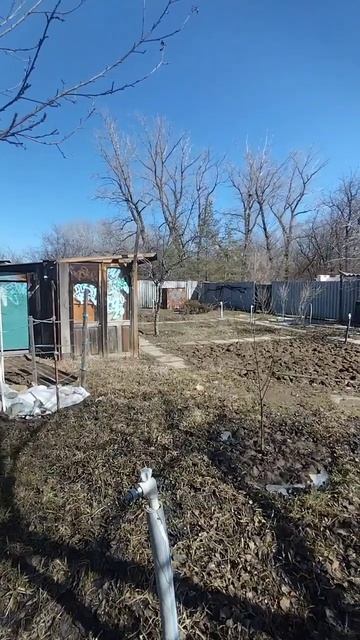 х.Новенький ул.Лесная