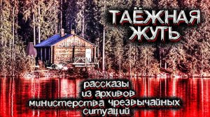 В Этой Тайге Происходили Таинственные и Необъяснимые События | Мистические Страшные Истории на ночь