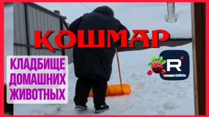 Ольга уралочка live _Кладбище домашних животных _Обзор на Уралочку _Обзоры на блогеров