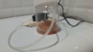 Озёрный аквариум часть 7. Зообентос (трубочник) для аквариума. Разводня гуппи.