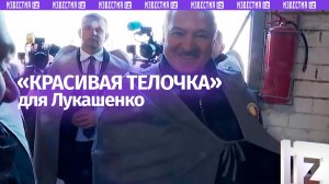 Телочка для Лукашенко: лидеру Белоруссии подарили корову