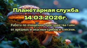 Планетарная служба 14.03.26г Работа по очищению пространства Гайи