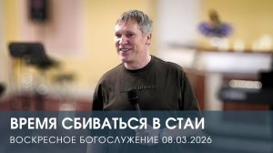 ВРЕМЯ СБИВАТЬСЯ В СТАИ | ДМИТРИЙ АНДРЕЕВ (08.03.2026)