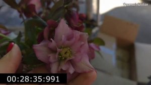 Так бывает только в Одессе. Одесса обзор рынка 2026