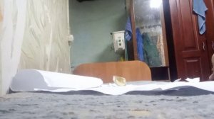 VID_20260314_220833.mp4