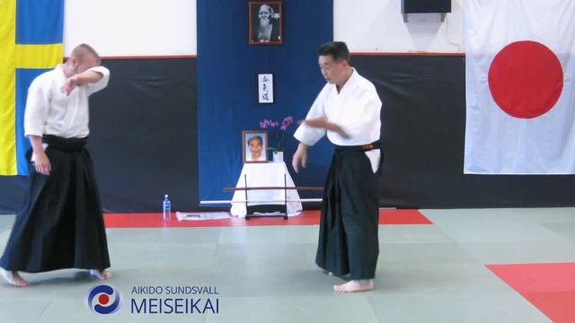 10.Aikido Ai Hanmi Do Barai Exercise (Iriminage), Shishiya Sensei Sundsval