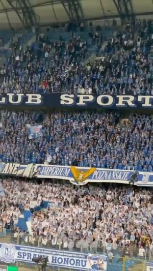 🇵🇱🖕🇺🇦«Иметь УПА, иметь Бандеру!» - поляки встретили украинцев !!!