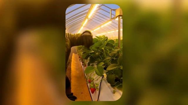 СКУЧНЫЕ, НО ПРИБЫЛЬНЫЕ БИЗНЕС ИДЕИ! Бизнес идеи! Бизнес 2026!