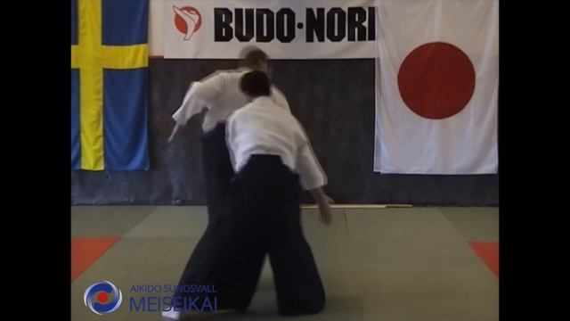 5.Aikido Yokomen Uchi Uchikaiten Sankyo, Shishiya Sensei 2003