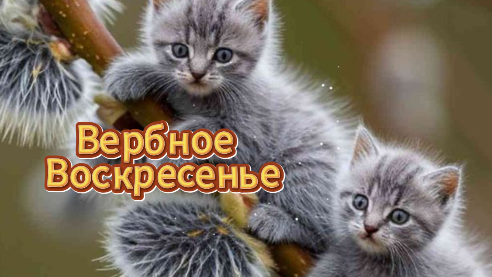 Вербное воскресенье мира добра пожелания 🌿✨