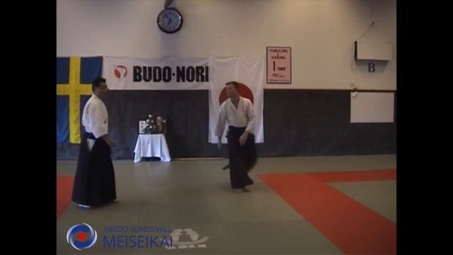17.Aikido Yokomen Uchi Iriminage, Shishiya Sensei 2003