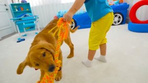 Крис хочет завести домашнее животное и играет с собакой-роботом