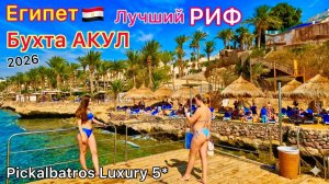 Самый КРАСИВЫЙ ПЛЯЖ в Египте но есть ПРОБЛЕМЫ! Люкс отель Pickalbatros Luxury Suites 5* БЕЗ ВЕТРА