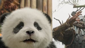 Операция «Панда»: Дикая миссия