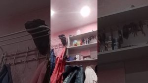 утренние видео блог с Яшей часть 2