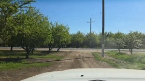 1000125193.mp4 раставили 300 маточников от Алексея и Надежды Стороженко матки итальянки