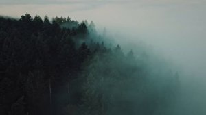 Я милость Твою вижу