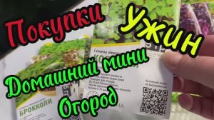 Домашний мини огород!Ужин!Покупки!