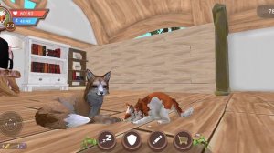 Третья часть "история Лиры"