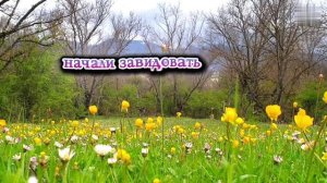 Один молодой человек...