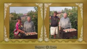 Душевная  песня про деревню. Исполнитель Анатолий Голованов. Белые ставни.