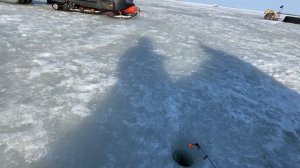 Белое море. Северодвинск. За корюхой