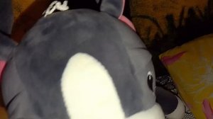 Возвращаем старые видео?😁