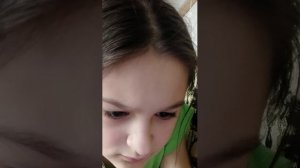 играю в денди