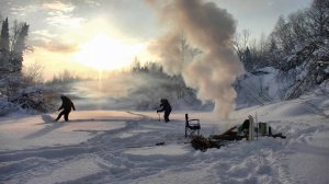 В поисках рыбы #556