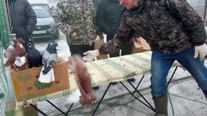 14.04.26 часть1 Ярмарка голубеводов в Самаре. Олег Костяков