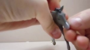 Обзор на Новых Лошадей