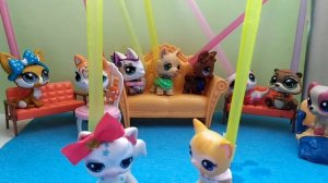 LPS Правда или действие