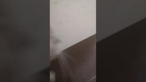 заходи я не кусаюсь