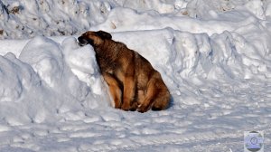 Магадан обстановка после циклона 2026 март