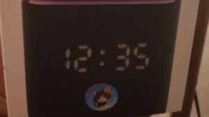 Алиса и Мурзик