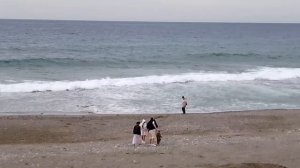 15 марта БЕРЕГ МАХМУТЛАРА. ТУРЦИЯ 2026.