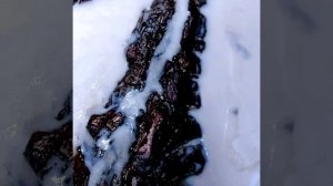 Спящая леди