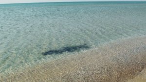 АНАПА. Чистое море, дюны и ветер в объективах Мир-20м, Canon 28 mm и TTartisan 35 mm