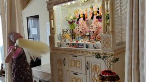 даршан, Экадаши, 15 февраля 2026, Рязань.mp4