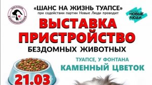 В Туапсе 21.03.2026 пройдет выставка-пристройство бездомных животных.